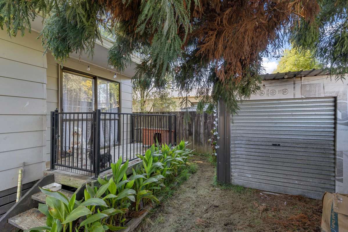 25B Dominion Road_5