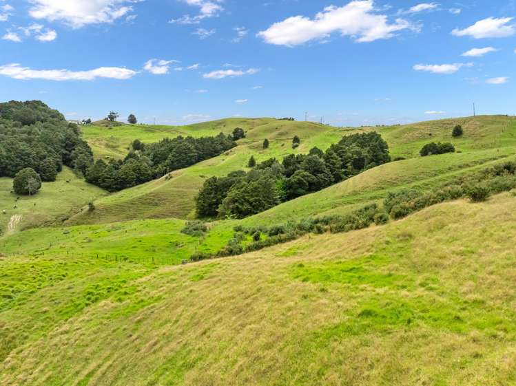 Hayward Road Maungakaramea_5