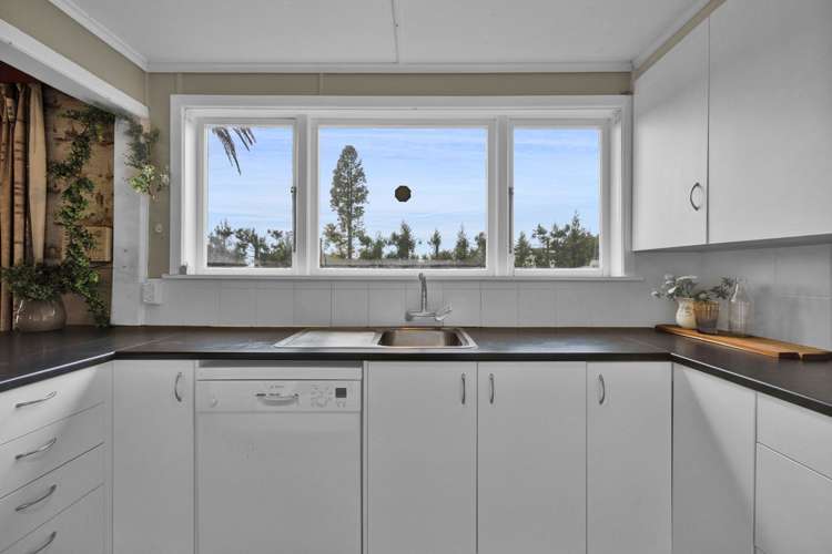 295d Henwood Road Hillsborough_18