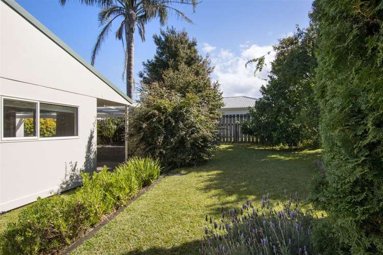 19 Gilfillan Drive Katikati_2
