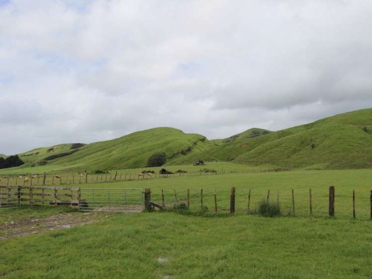 67 Piert Road Kumeroa_12