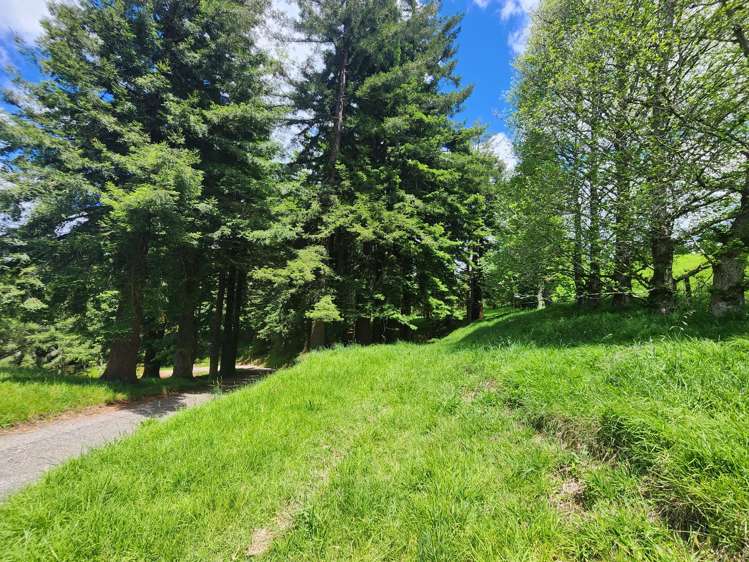 241 Work Road Aongatete_15