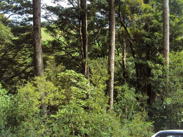 600 Jubilee Road Hukerenui and Surrounds_14