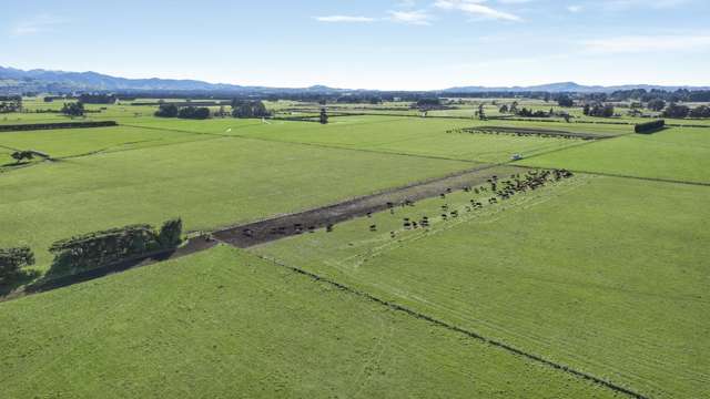 Francis Line Clareville_3