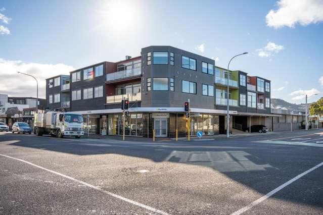 15/337 Jackson Street Petone_1