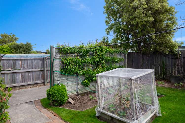 28 Hope Drive Witherlea_16