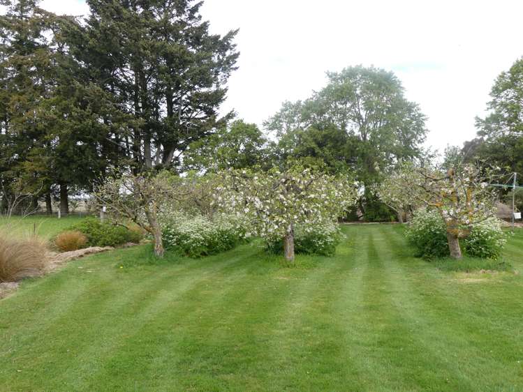 282 Back Track Methven_10