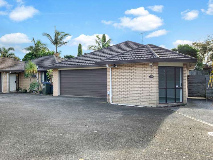 30a Ballarat Street Ellerslie_0