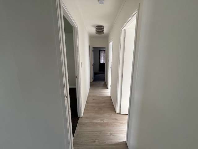 Address withheld Ranui_3