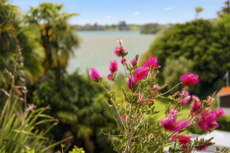 24 Anchorage Grove Maungatapu_52