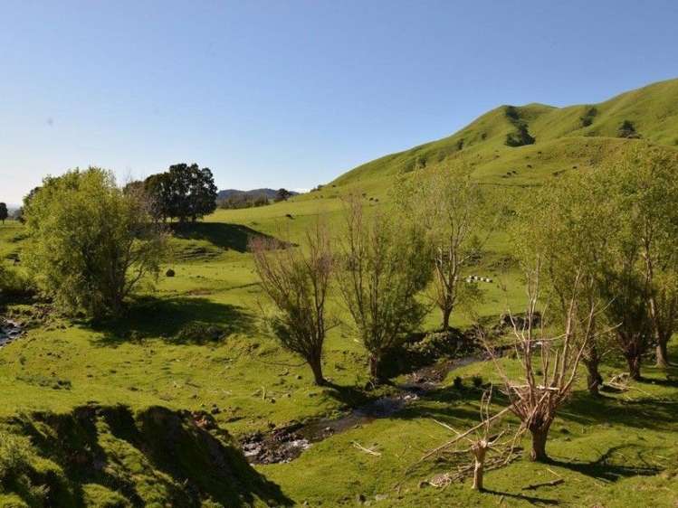 153 Hill Road Te Aroha_6