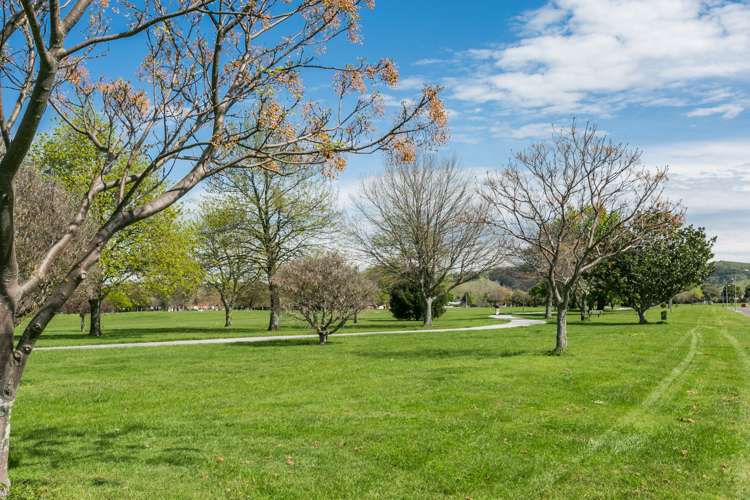 92 Freyberg Avenue Tamatea_16