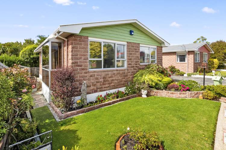 278a Pine Hill Road Liberton_1