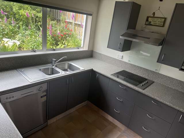 54 Lewin Street Balclutha_1