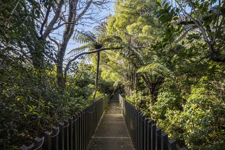 43a Rose Street Wadestown_9