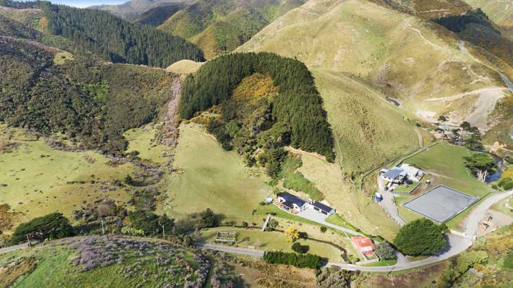 541 South Makara Road Makara_38