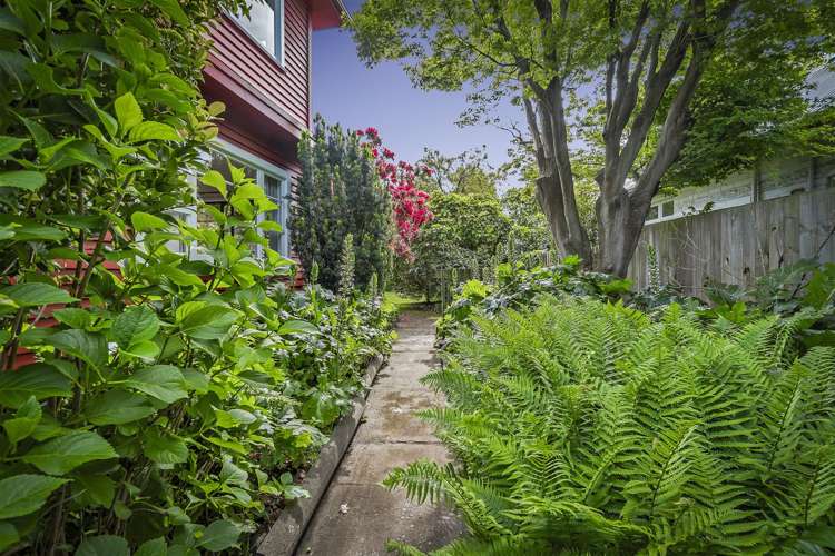 143 Clyde Road Burnside_7