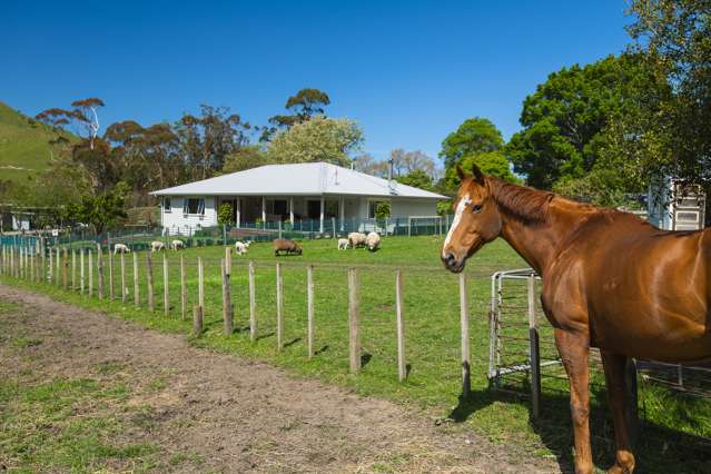 598 Riverside Road Matokitoki_2