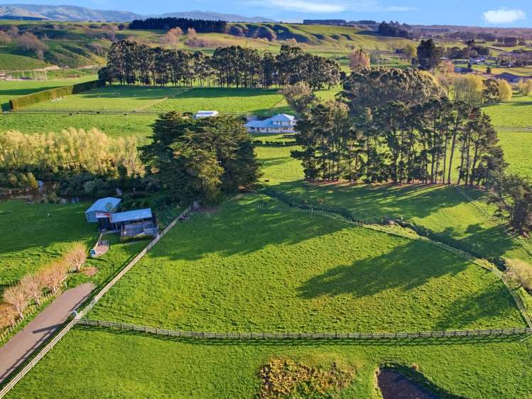 32 Forest Hill Road Aokautere_3