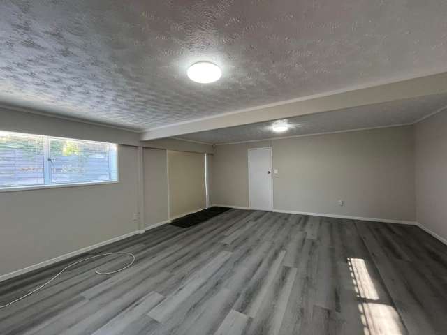 155 Hutchinsons Road Bucklands Beach_2