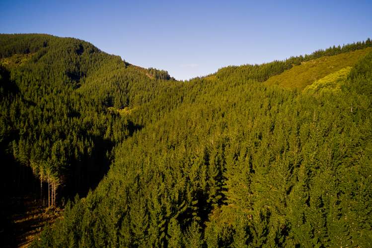 Crail Bay Kenepuru Sound_17