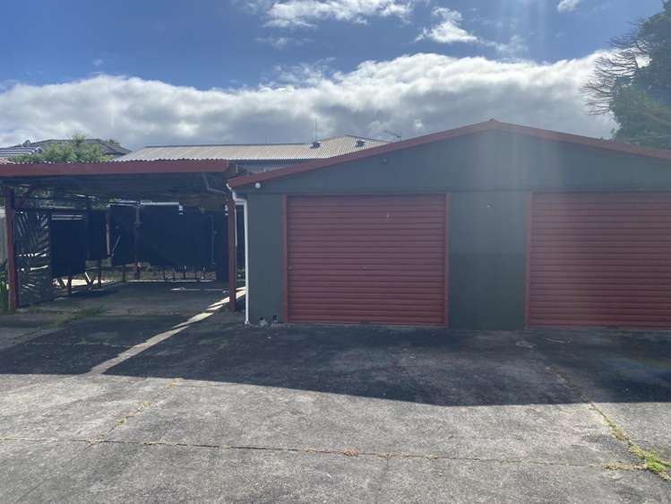 8 Freyberg Avenue 10695_1