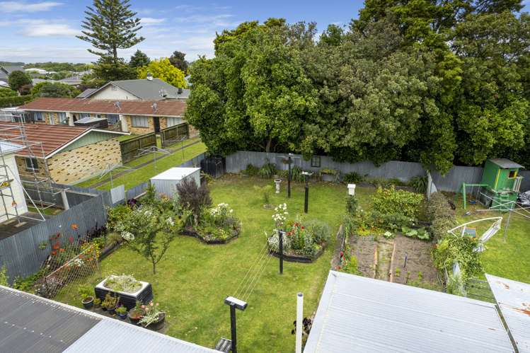 5 Pascal Street Palmerston North Central_16