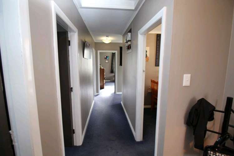 20 Ward Street Bulls_50