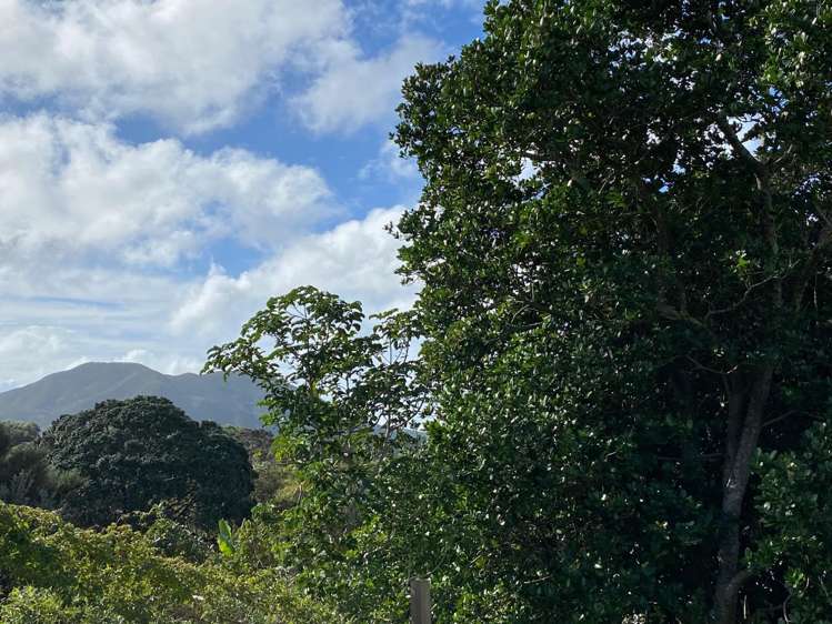 26 Northwood Avenue Waikiwi_15