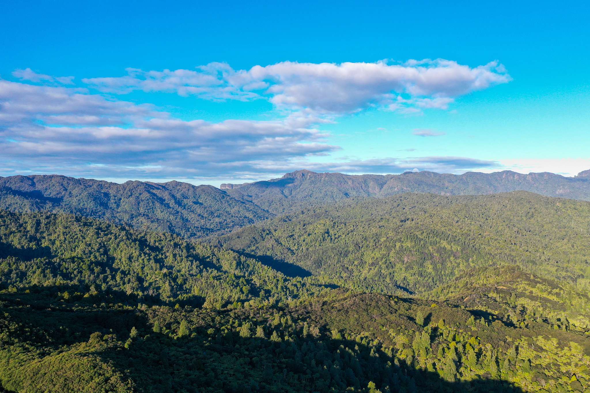 Sold 495 Waikawau Valley Road  Kereta  Thames-Coromandel on