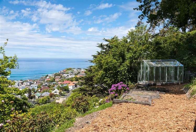 77 Ravenswood Road Saint Clair_19