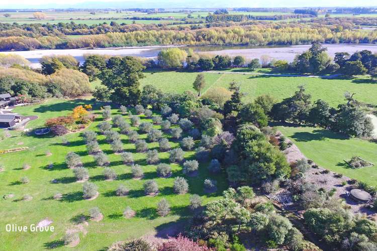 672c Te Whiti Road Te Whiti_11