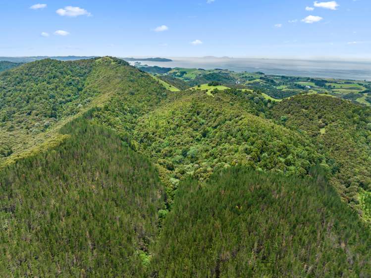 15 Waiparera Road Parua Bay_37