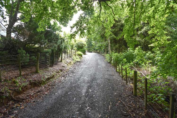 317 Leith Valley Road Leith Valley_21