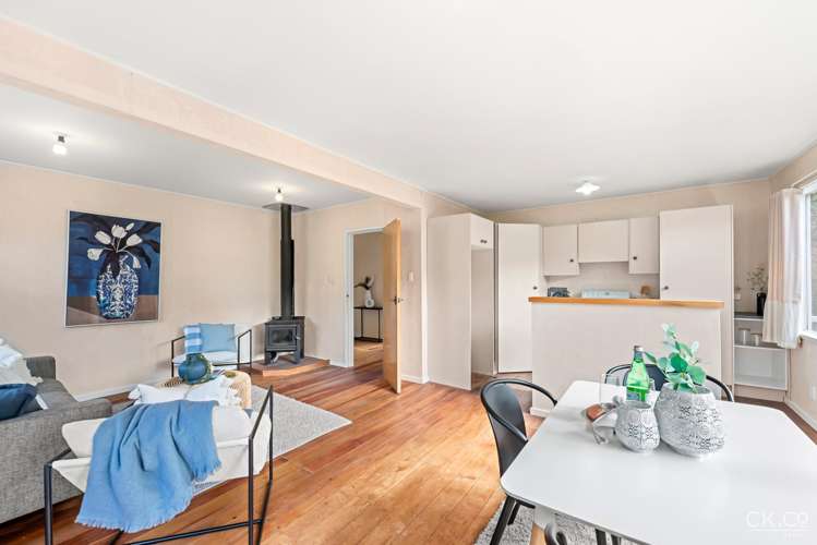 63f Black Beech Street Birchville_6