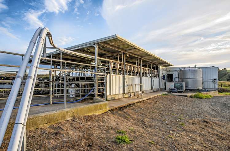 30 Snell Road Opotiki Coastal_6