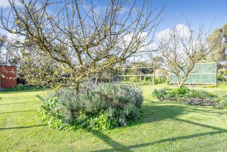 461 Notorious West Road Dargaville Rd1_47