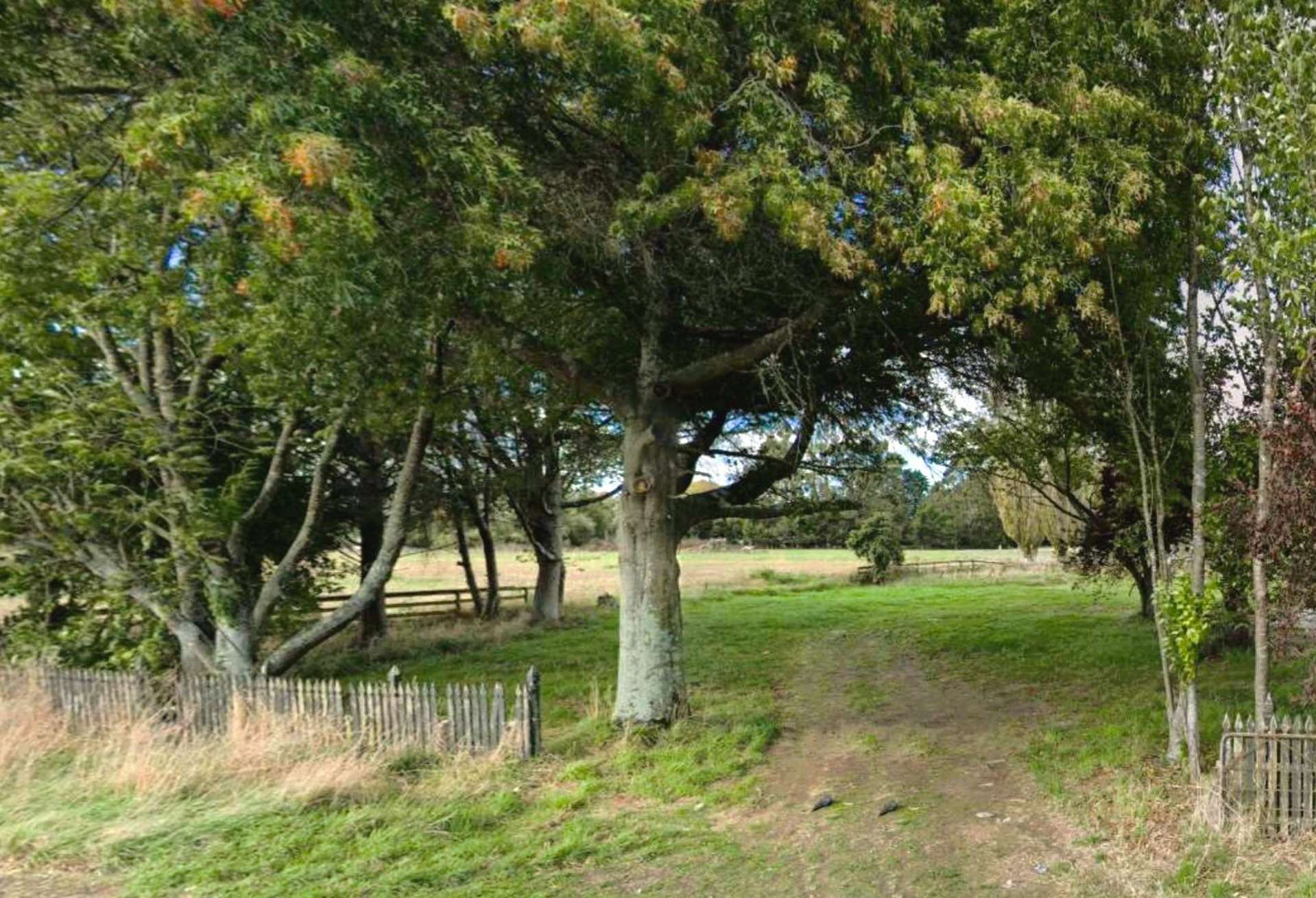 3794 Broadlands Road Reporoa_0
