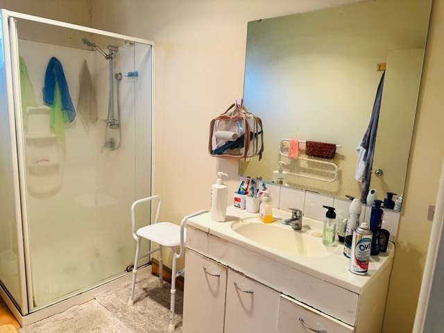 21 Water Street Otahuhu_4