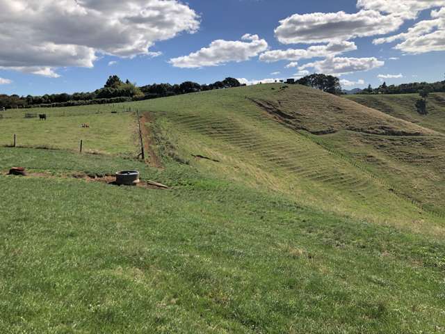 35 Grove Access Road Te Pahu_4