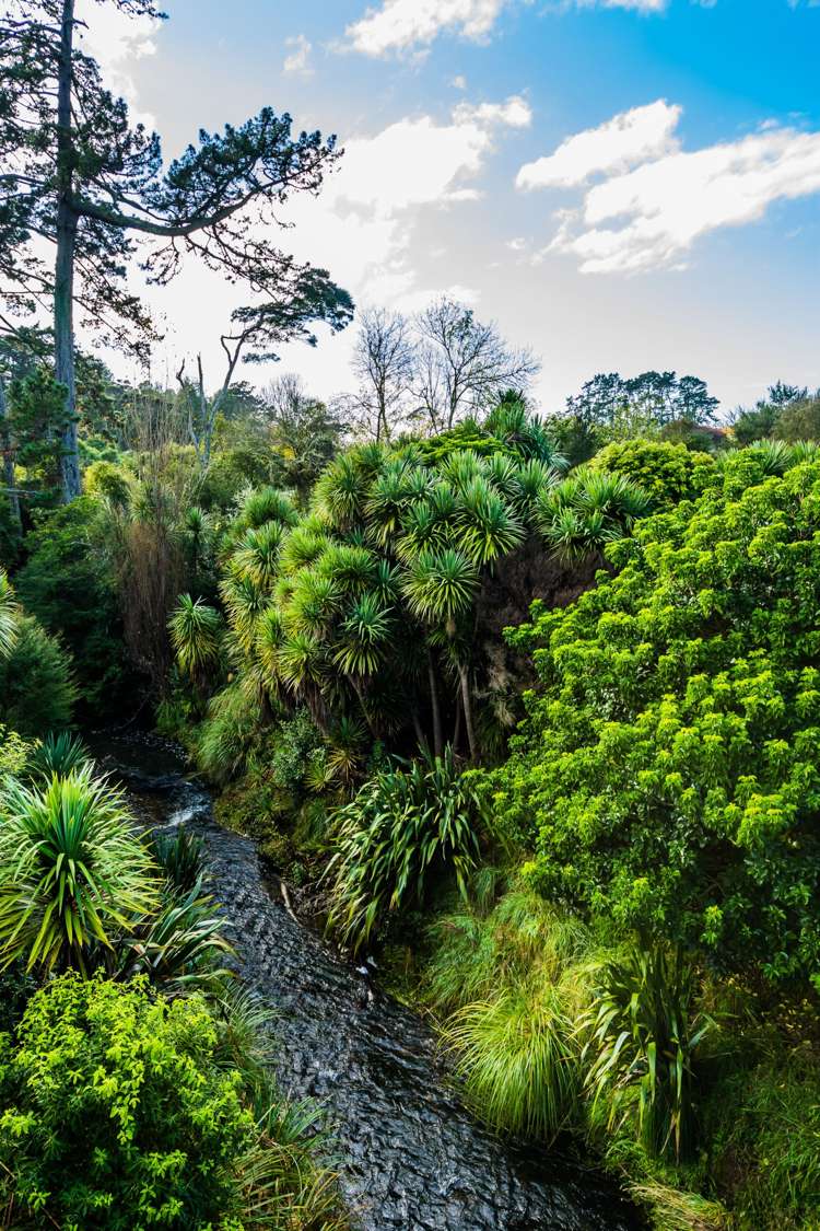 4 Taranui Place Henderson_25