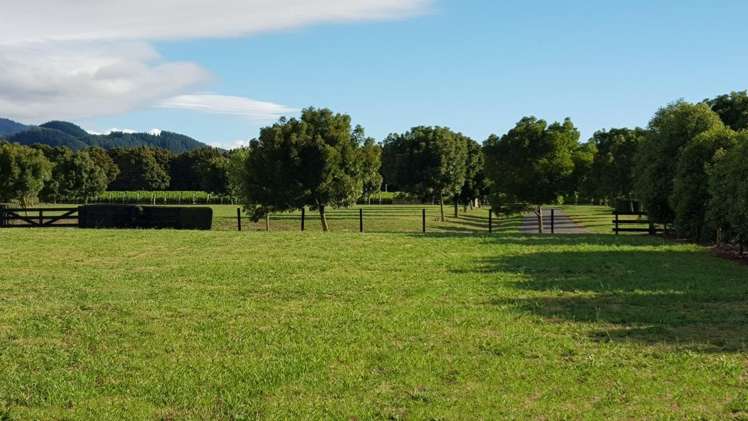 9 Pinot Crescent Ohau_5