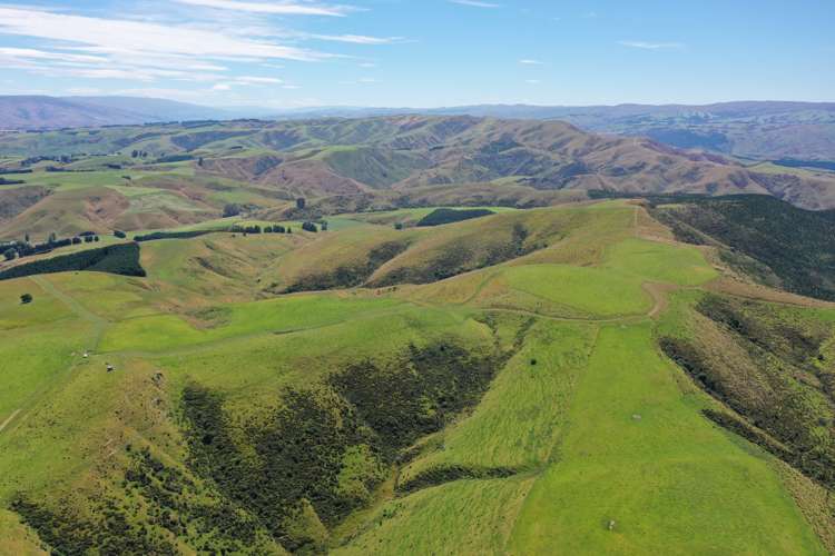 2230 Tapanui Raes Junction Highway Clutha_21