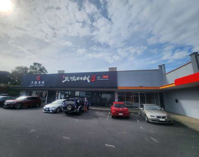 Unit T2/184-196 Dominion Road Mt Eden_2