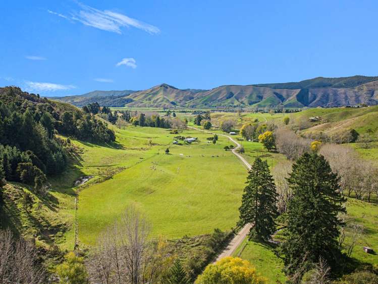 170 Glenrae Road Tapawera_24