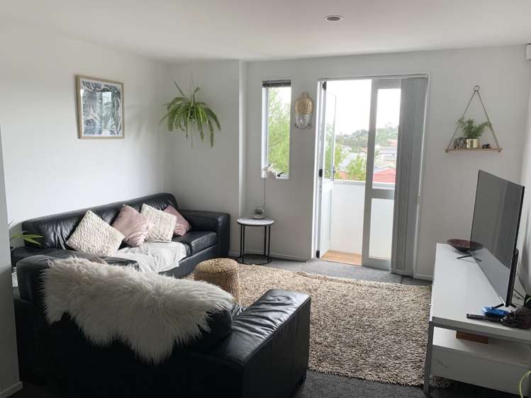 58 Albionvale Road Glen Eden_11