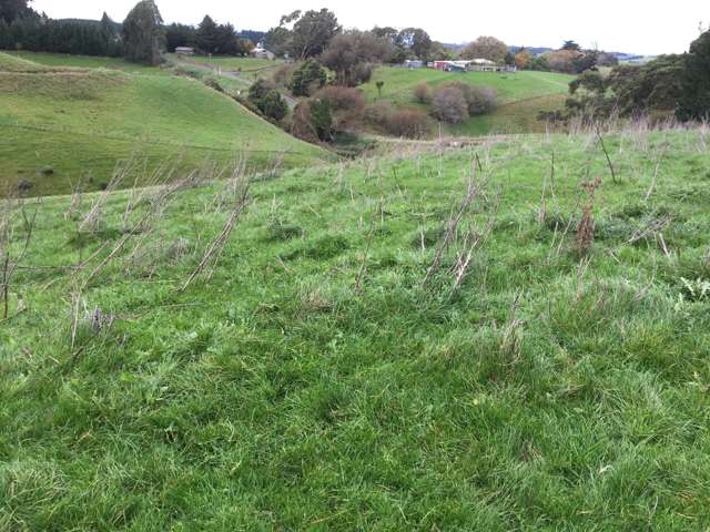 76 Knorp Street Halcombe_2