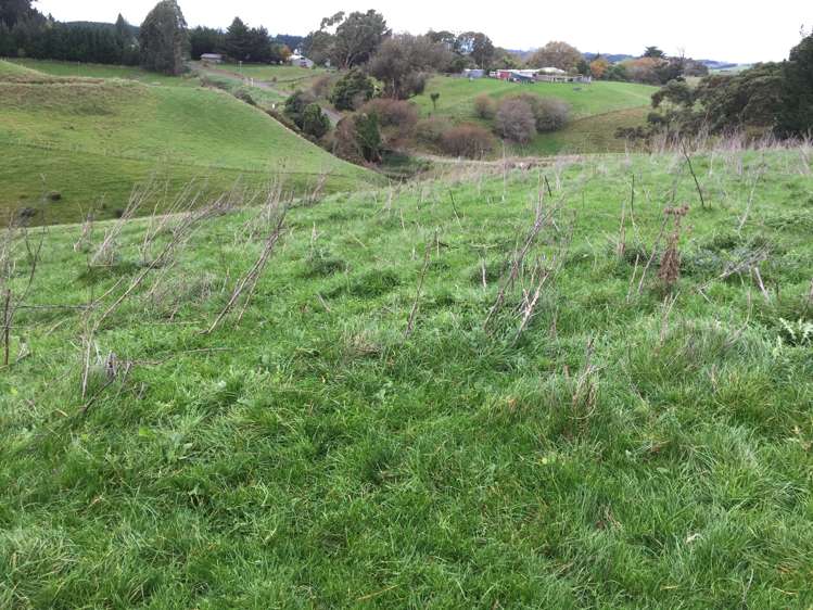 76 Knorp Street Halcombe_2