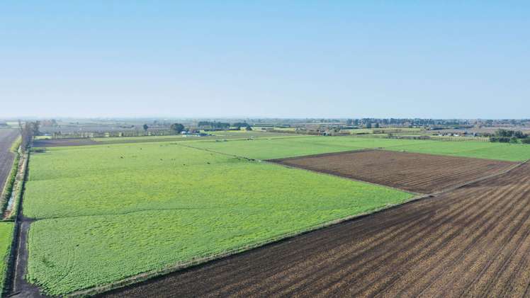 85 West Road Havelock North_7