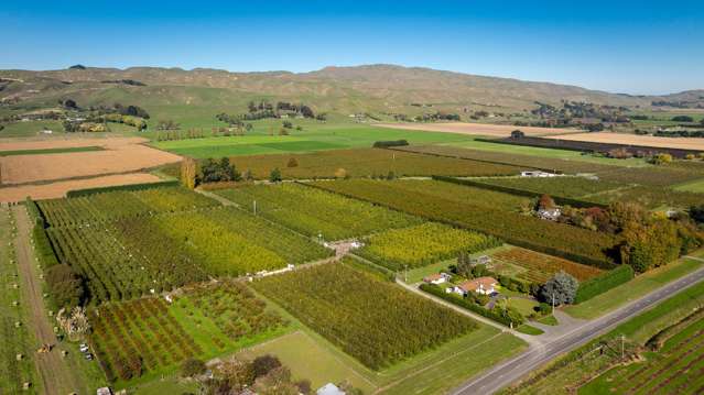 83 Mount Erin Road Havelock North_1